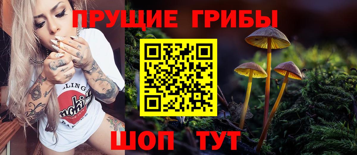 Узловая  что такое   Вход с VPN  Псилоцибиновые грибы Psilocybe 