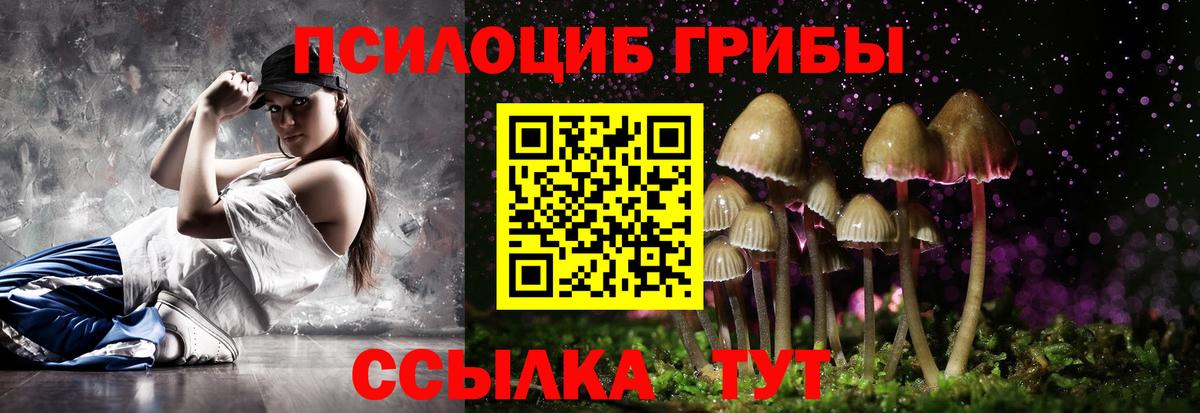 Галлюциногенные грибы мицелий Узловая